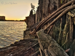pilings-along-river-at-sunrise-hdr