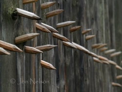 wooden-spikes-in-old-fort-william-wall