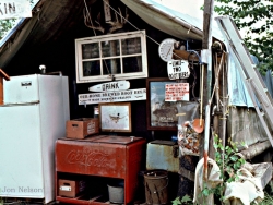 Dorothy Molter root beer stand