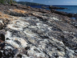stromatolite_rings_and_lake