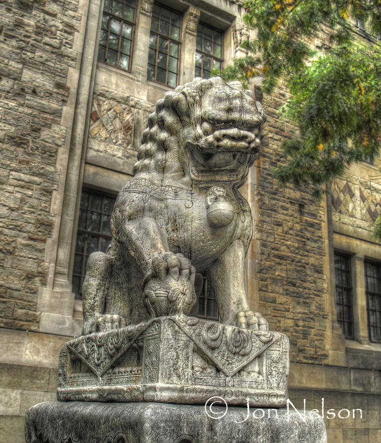 lion-in-front-of-rom-cropped-and-blrred