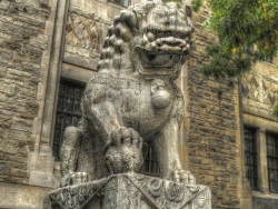 lion-in-front-of-rom-cropped-and-blrred